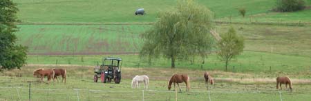 Reitferien und Reitschule