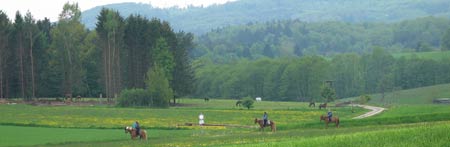 Reitferien und Reitschule