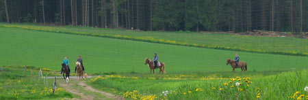 Reitferien und Reitschule